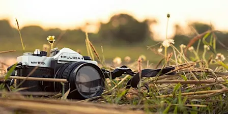 Discover the Art of Nature Photography: A Beginner’s Workshop