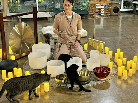 Sacred Sound Bath Journey with Kathryn Watterson to benefit Ferndale Cats