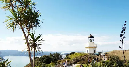 Manakau Heads Coastal Walk