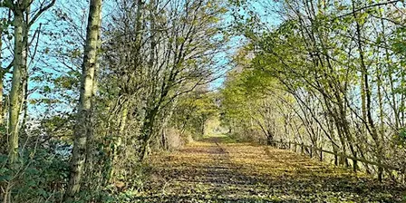 Volunteer day at the Lymm Railway Line