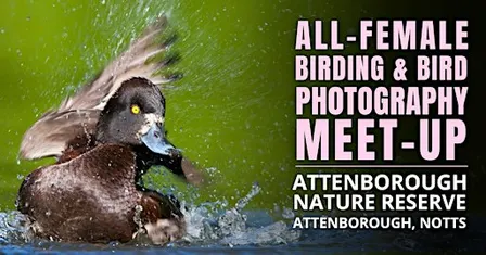 All-Female Birding & Bird Photography Morning