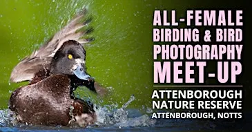 All-Female Birding & Bird Photography Morning