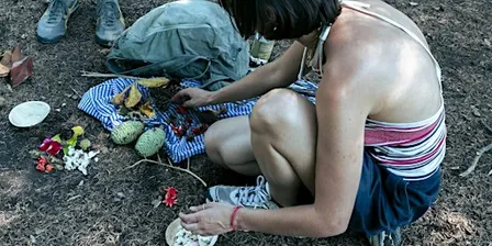 Composer avec la nature - Atelier de land art au Parc de Saint-Cloud