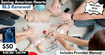 American Heart Association Basic Life Support Renewal Course