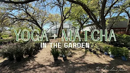 Yoga + Matcha in the Garden