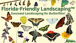 Florida-Friendly Landscaping™: Planting for Suncoast Butterflies