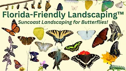 Florida-Friendly Landscaping™: Planting for Suncoast Butterflies