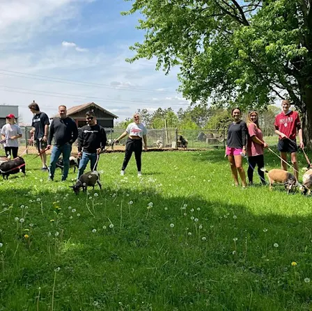 Goat Walking - Monday, Wednesday, and Saturday