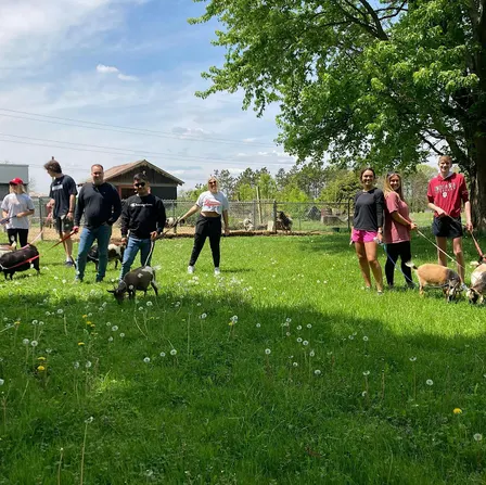 Goat Walking - Monday, Wednesday, and Saturday