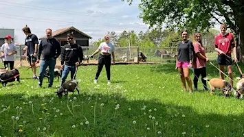 Goat Walking - Monday, Wednesday, and Saturday