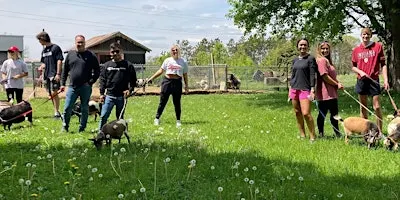 Goat Walking - Monday, Wednesday, and Saturday