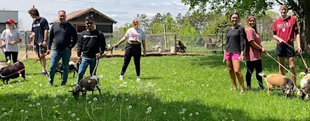 Goat Walking - Monday, Wednesday, and Saturday