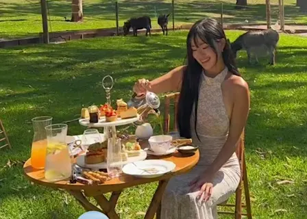High Tea with Donkey | B Farm | Port Stephens | Newcastle