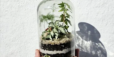 Small Closed Terrarium Workshop