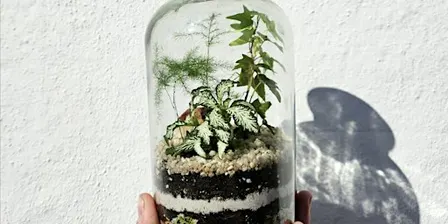 Small Closed Terrarium Workshop