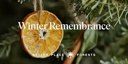 Santa Cruz Memorial Forest | Winter Remembrance Gathering