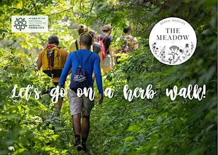 Medicinal Herb Walk in Slades Park Bournemouth