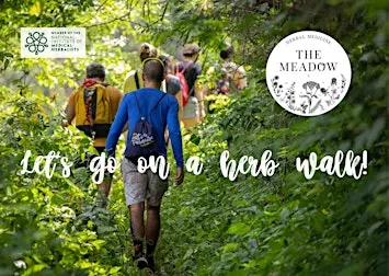 Medicinal Herb Walk in Slades Park Bournemouth
