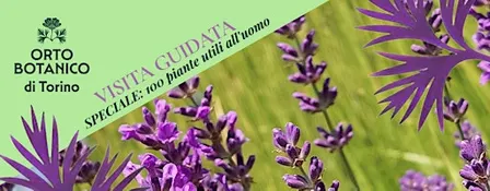 VISITA GUIDATA ORTO BOTANICO DI TORINO speciale 100 PIANTE UTILI ALL'UOMO