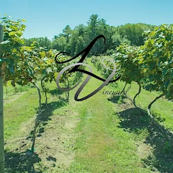 Leyden Vineyard's Wine Tasting - Spring & Summer 2026