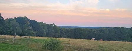 Yoga at Lilac Hedge