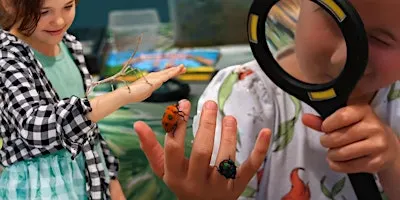 NaturallyGC Kids - Insect Explorers