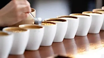 Coffee Know How : Cupping Class