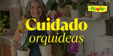 Taller Cura d'Orquídies a  Ca l'Agustí | Flower Jardineria