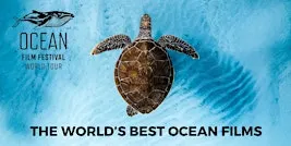 Ocean Film Festival - Norwich - 14 November 2026
