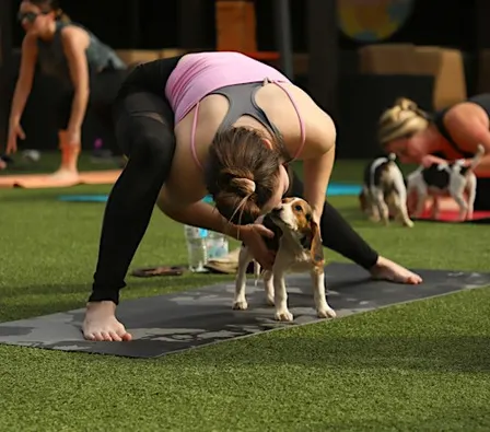 Rescue Puppy Yoga - Trufusion 9th & Co