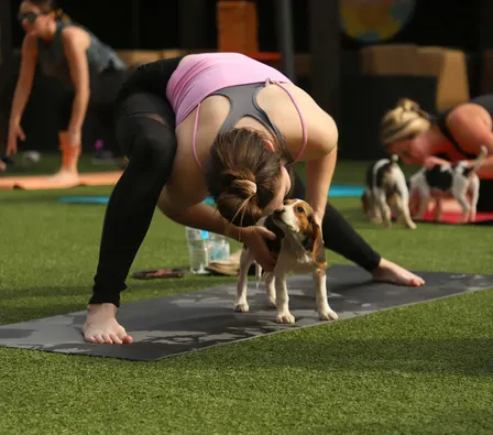 Rescue Puppy Yoga - Trufusion 9th & Co