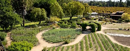 Soundbath on the Farm