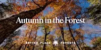 Rock River Memorial Forest | Autumn in the Forest