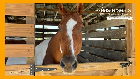 We're Opening the Barn Doors at Easterseals Ranch Open House!