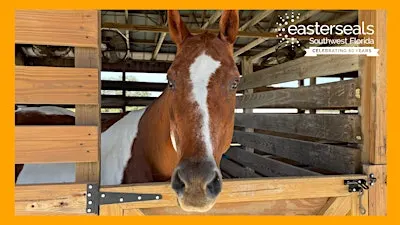 We're Opening the Barn Doors at Easterseals Ranch Open House!