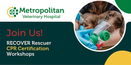 RECOVER Rescuer CPR Certification - Workshop
