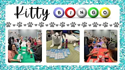 Kitty Bingo