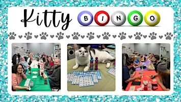Kitty Bingo