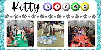 Kitty Bingo