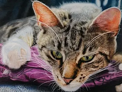 Workshop | Colored Pencil Drawing & Painting 3-Week