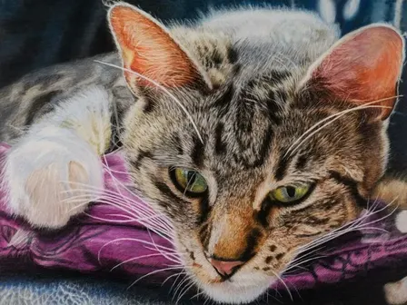 Workshop | Colored Pencil Drawing & Painting 3-Week