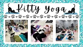 Kitty Yoga
