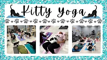 Kitty Yoga