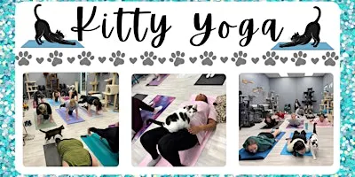 Kitty Yoga