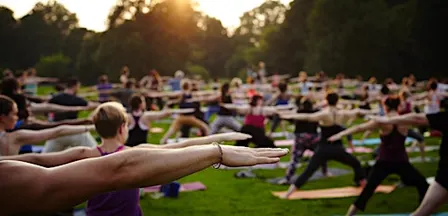 HHAVEN's - Yoga and Cacao on the Green