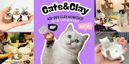 Cats&Clay - clay workshop in cat cafe with cats - Tilburg