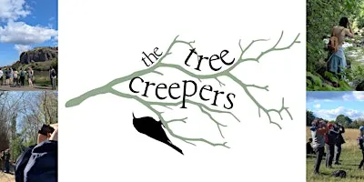 The Treecreepers Birdwatching Group