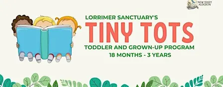 Tiny Tots - Fall Series