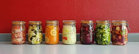 Lacto & Kimchi System — Fermentation verstehen, nicht nur nachmachen