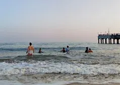 Ocean Reset: Free Community Sea Dip